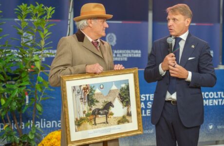 Fieracavalli2025 Veronafiere Ennevi Foto 3237