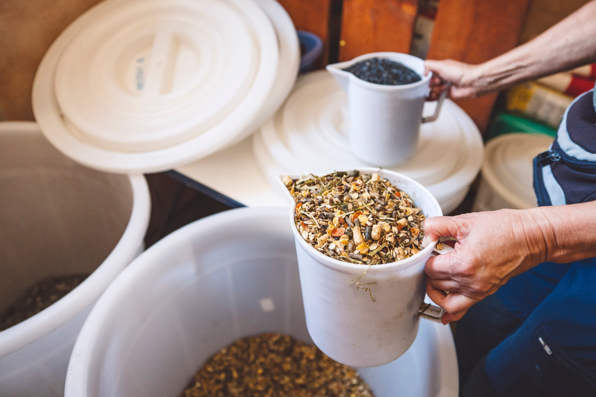 Foto Equi Cartolina Grande 2025 10 20T142951.426