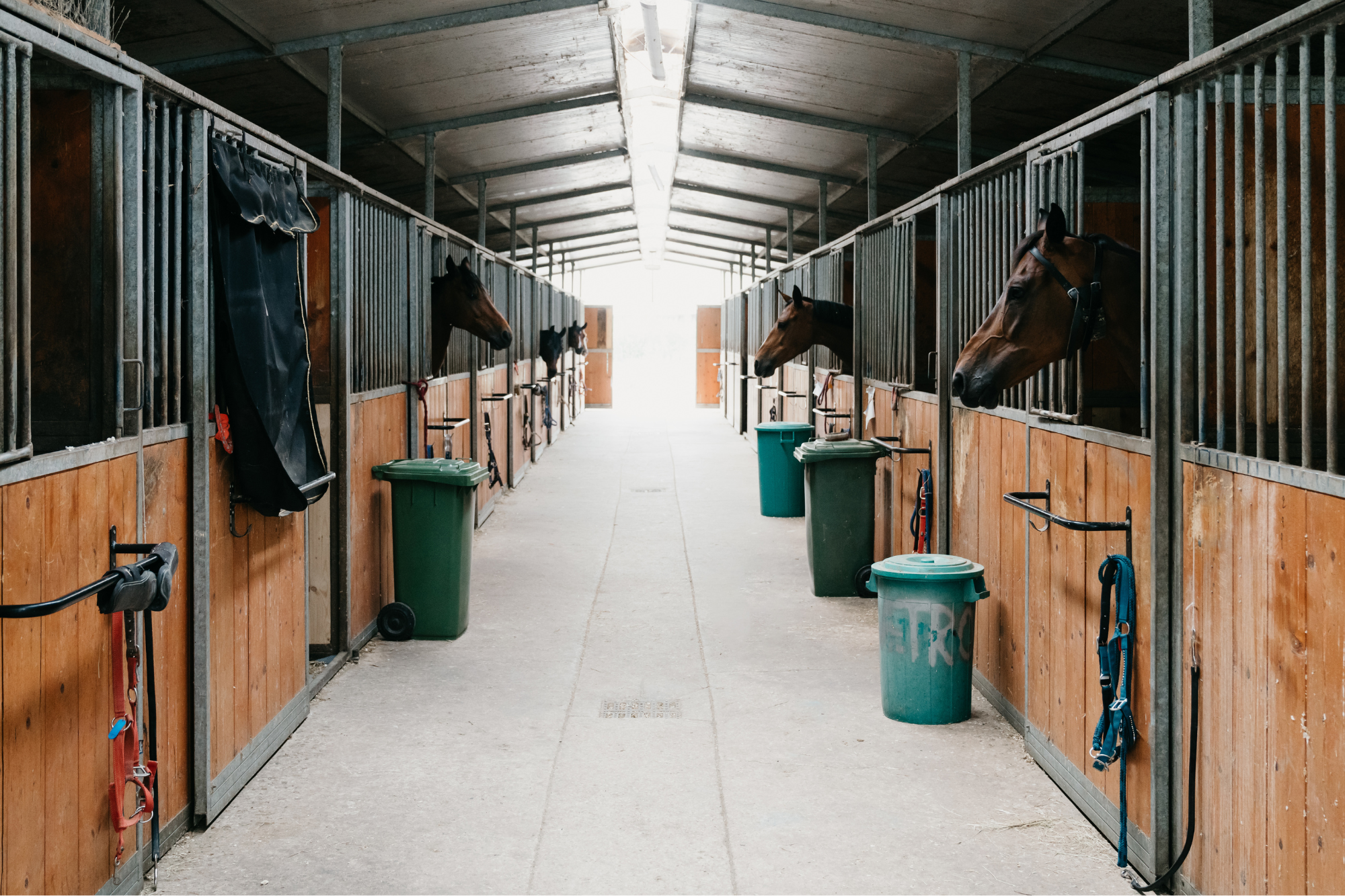 Foto Equi Cartolina Grande 2025 10 20T143229.441