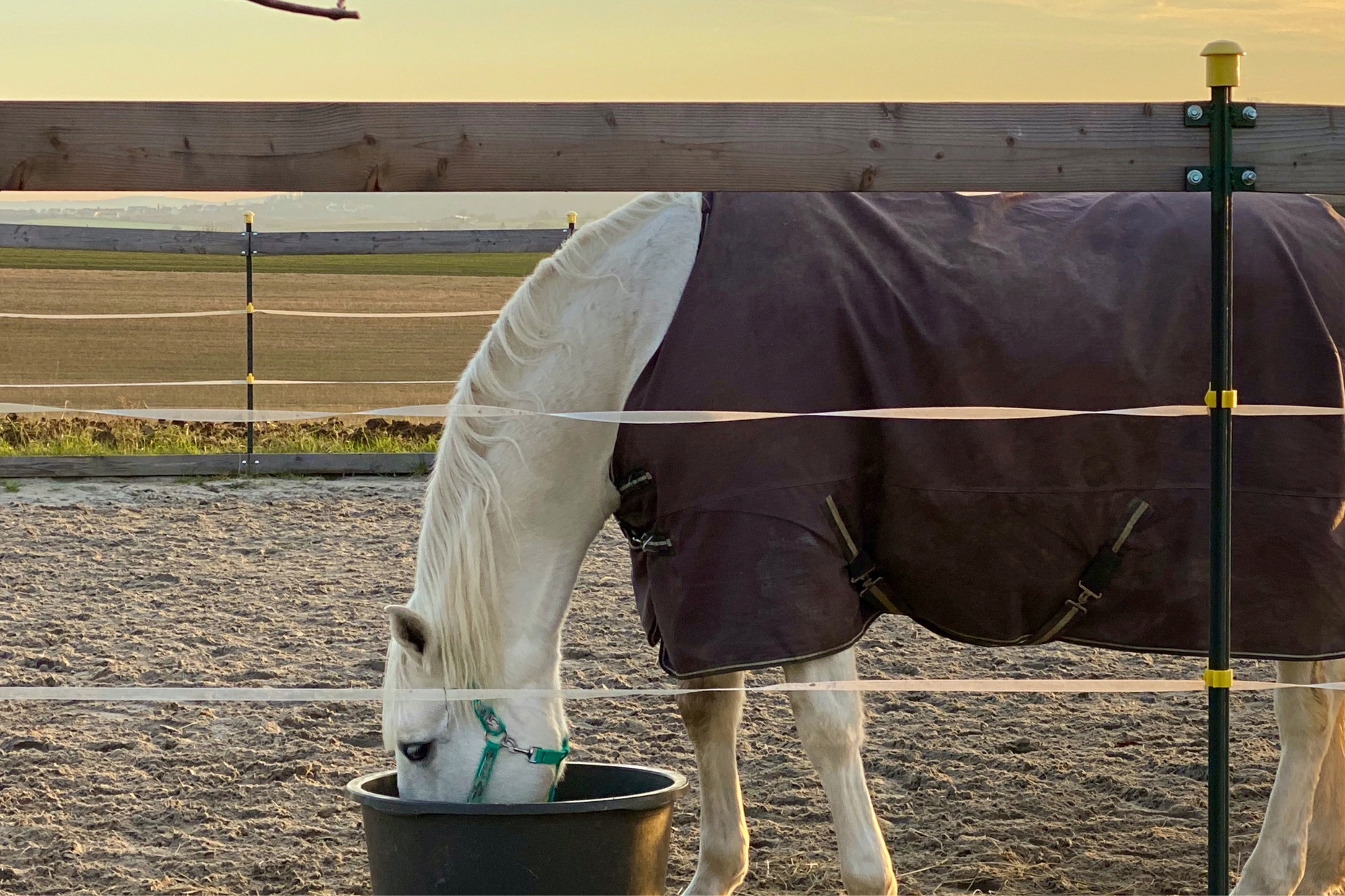 Foto Equi Cartolina Grande 2025 10 20T143624.158