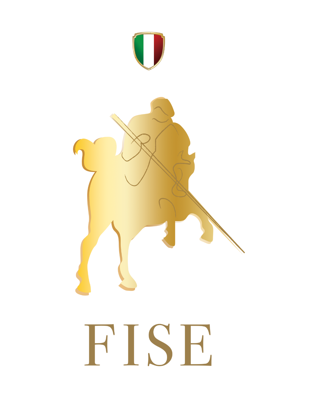 Logo FISE