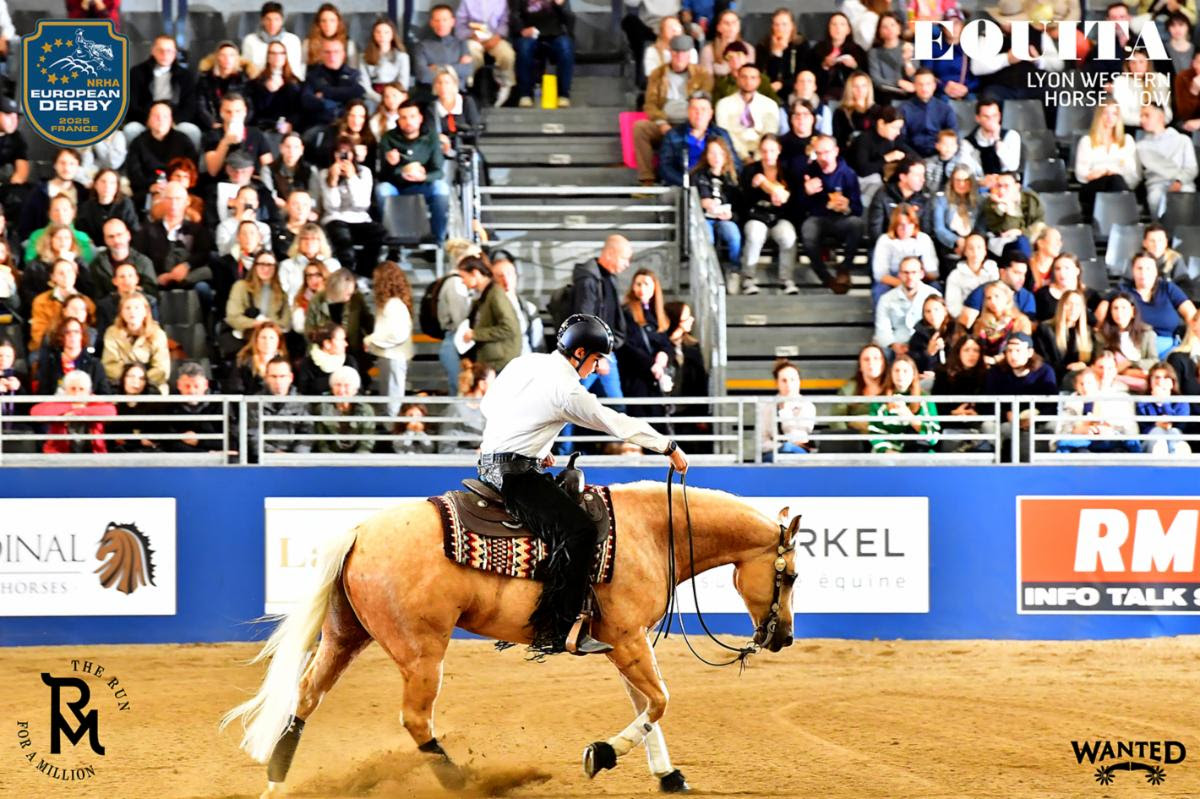 Reining a Lione: grandi prestazioni e qualifiche per The Run For A Million a Equita Lyon 4 Manuele Bonzano Mr Shines