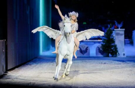 Pegasus Sweden International Horse Show
