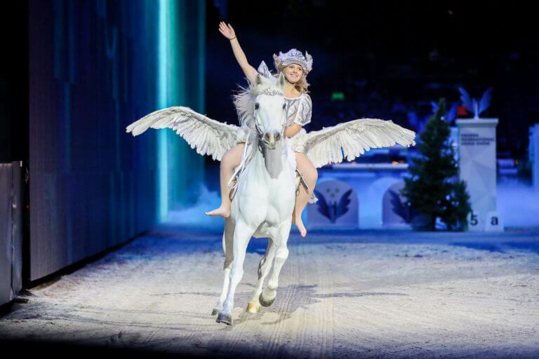 Pegasus Sweden International Horse Show