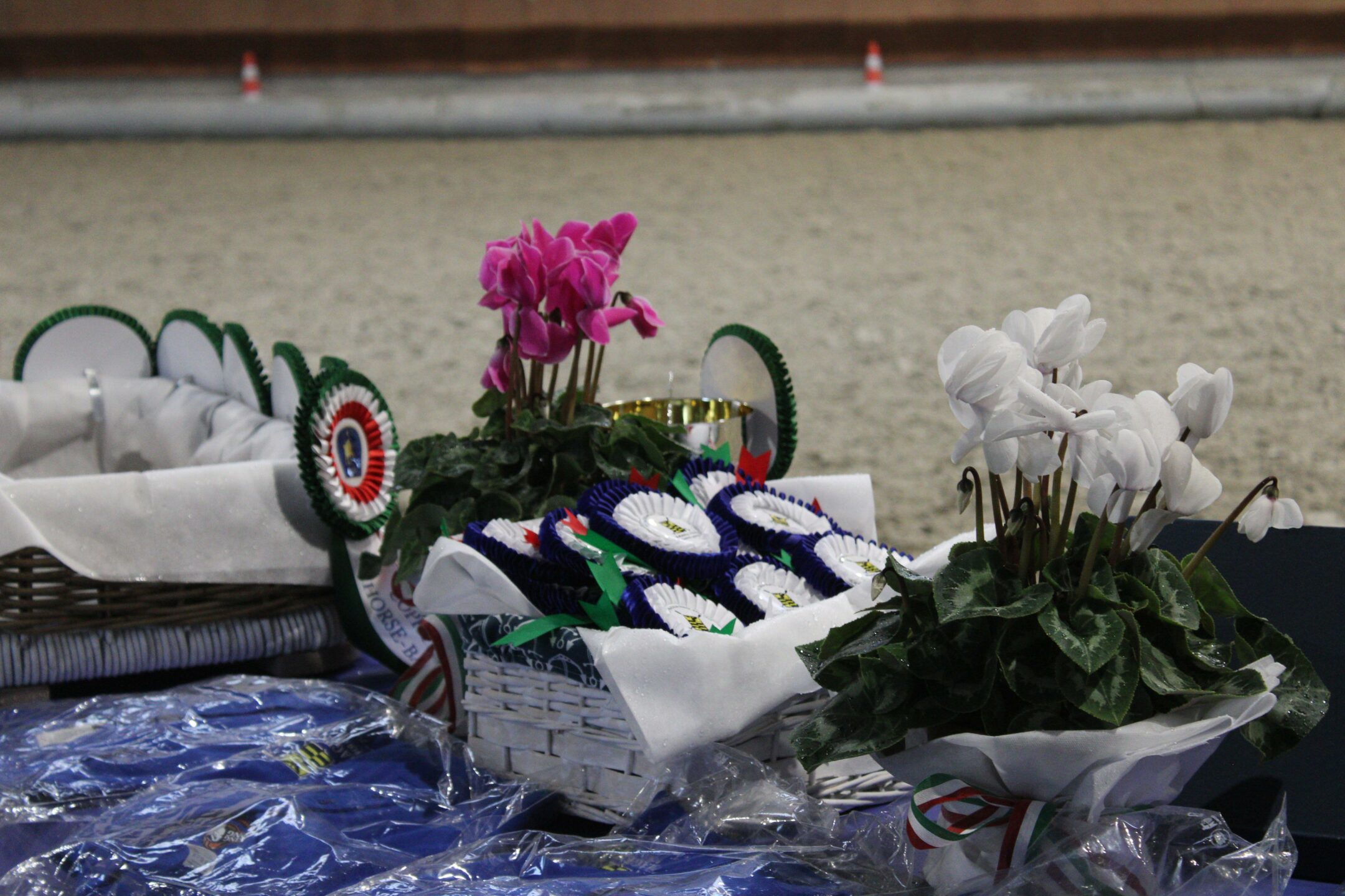 Premiazione Coppa Italia di Horseball senior misto