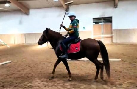 Alla Fieracavalli di Verona arrivano i Cavalli del Sarcidano