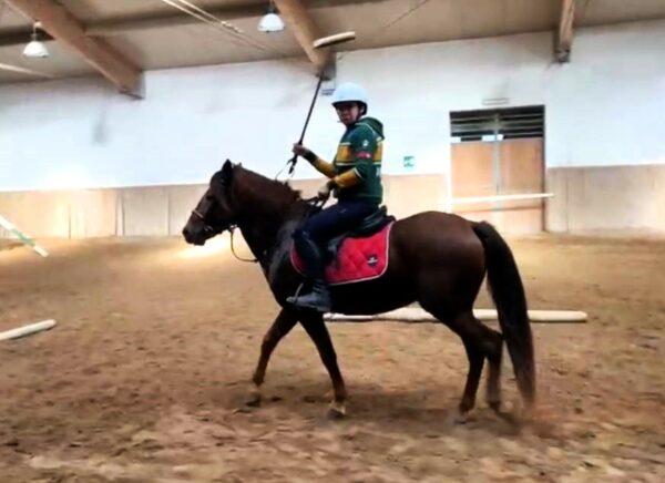 Alla Fieracavalli di Verona arrivano i Cavalli del Sarcidano