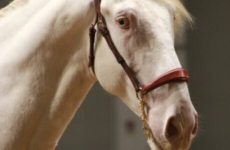 a4dd6672 404e 4efb 9520 1f08317b2080