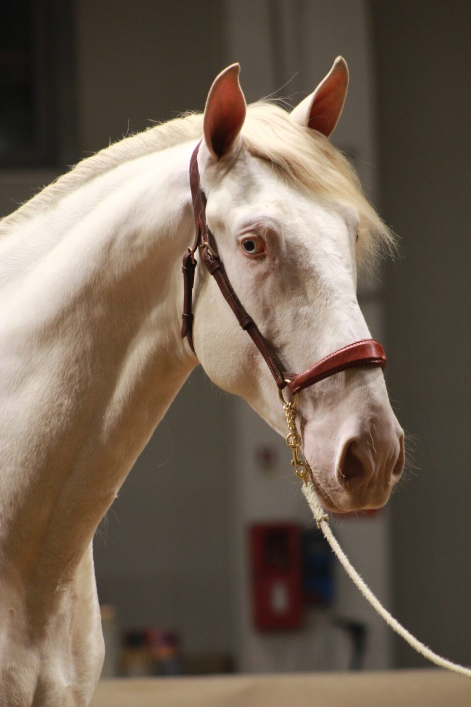 a4dd6672 404e 4efb 9520 1f08317b2080