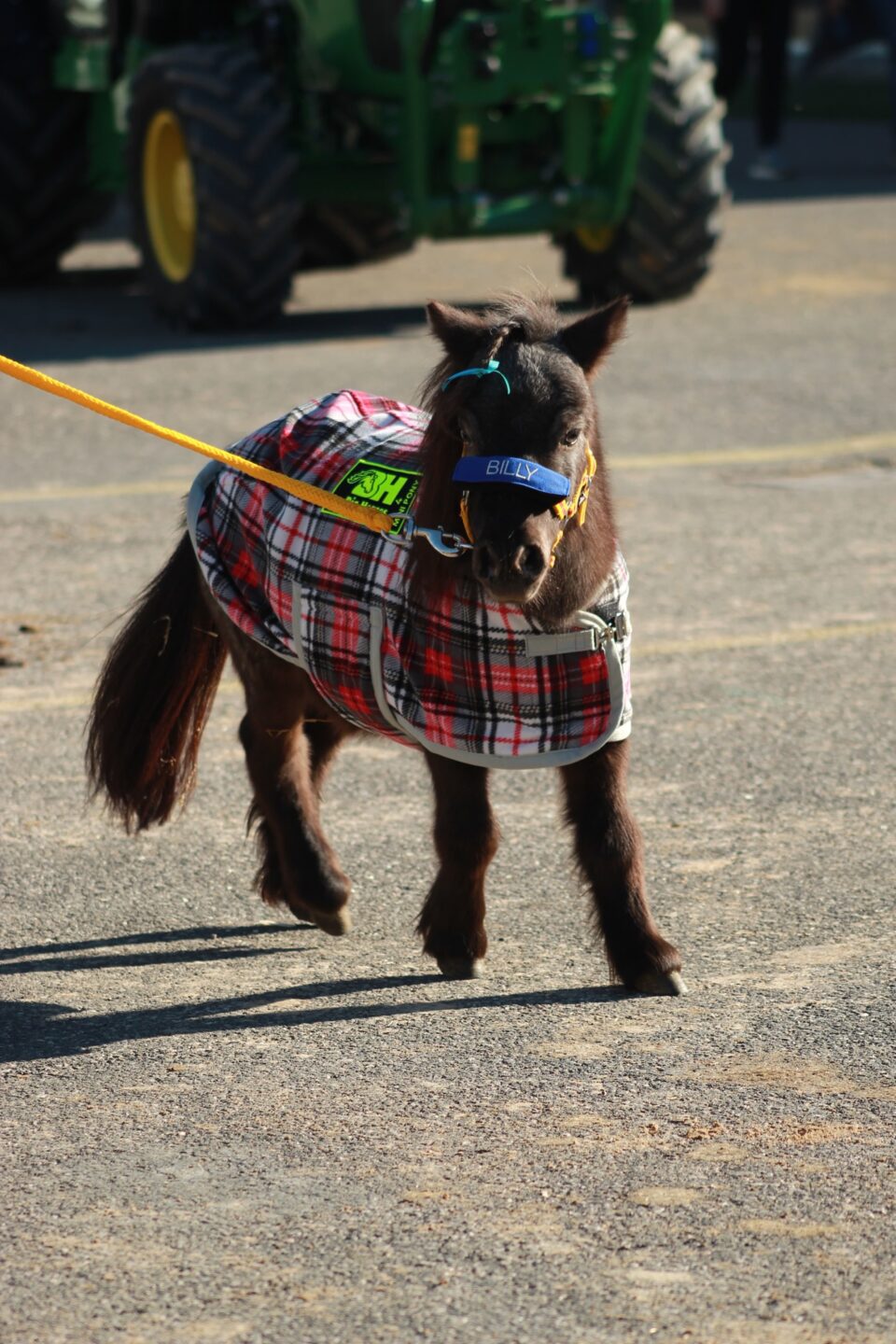 d78caded d174 4eb4 9d8c 318de9da118a