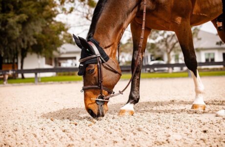 e1796e75 18b3 437d a444 4455a95776f0