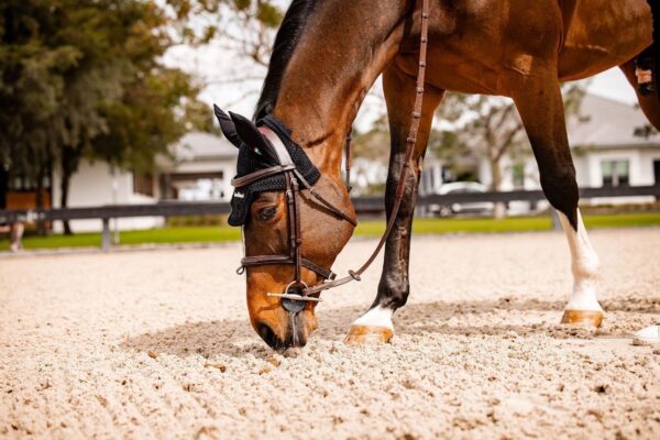 e1796e75 18b3 437d a444 4455a95776f0