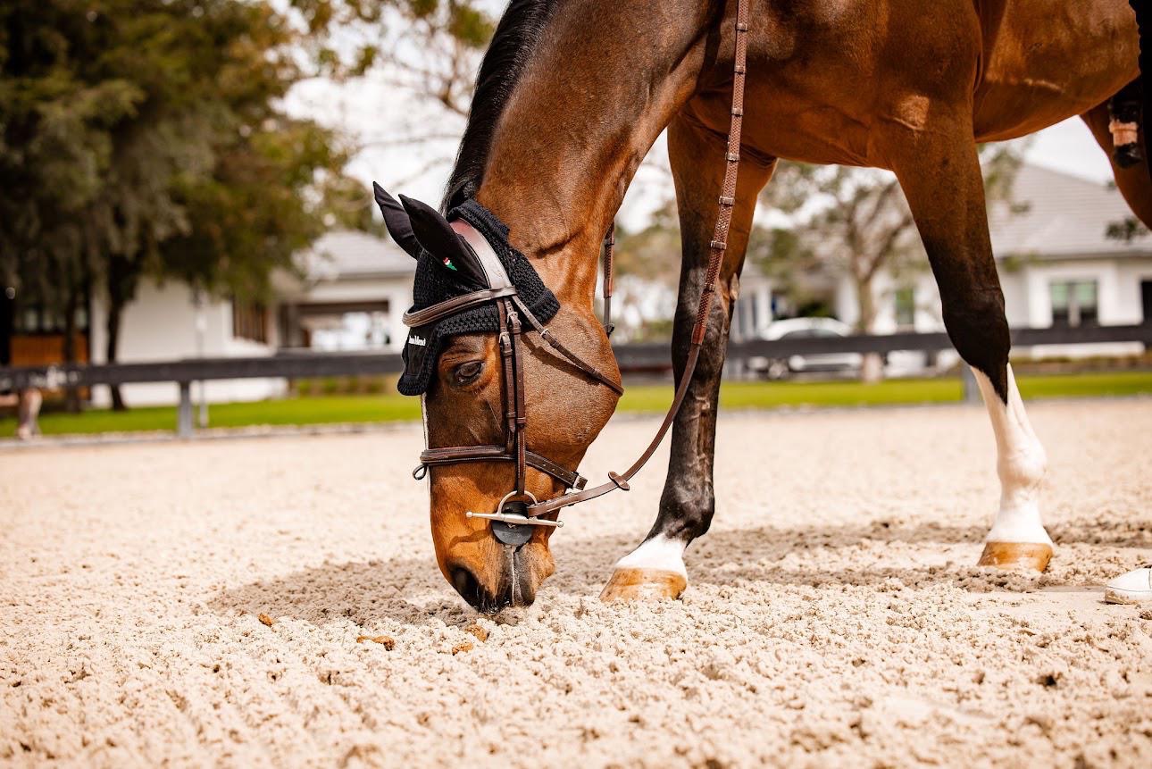 e1796e75 18b3 437d a444 4455a95776f0