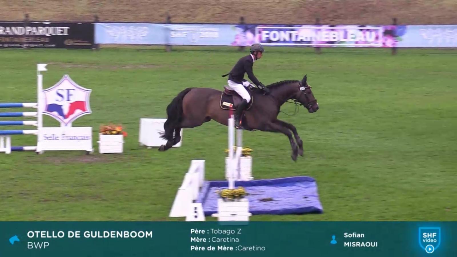 e6c1a843 9b84 49cf bafc 3cd9b9d36271