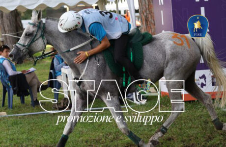 Arborea, ad Ala Birdi, stage promozione e sviluppo: la formazione non crea campioni ma cavalieri capaci di diventarlo.