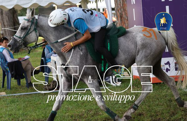 Arborea, ad Ala Birdi, stage promozione e sviluppo: la formazione non crea campioni ma cavalieri capaci di diventarlo.