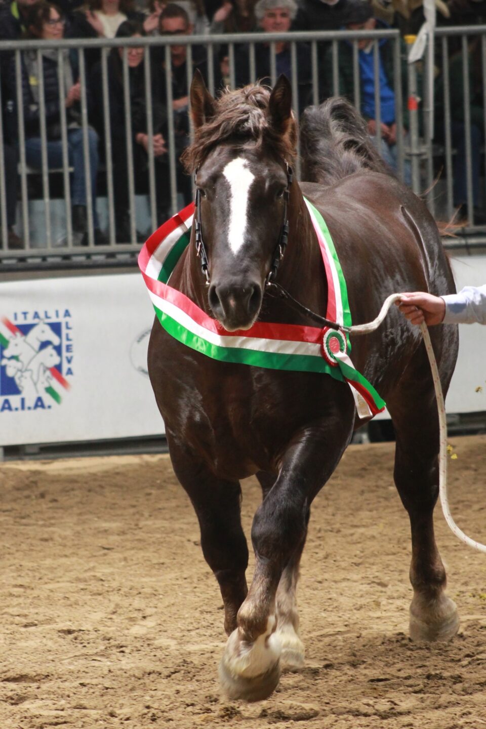 fe3703bb c68a 432d 9775 c6ec63eb8bb8