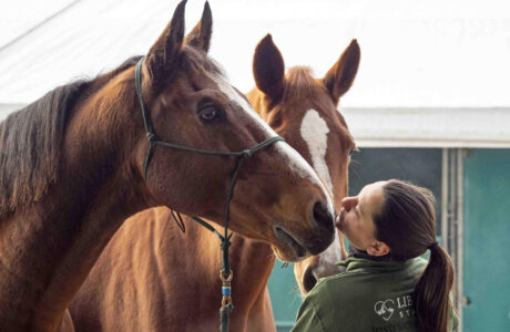 Fieracavalli 2025, al via oggi con 2,200 cavalli, 700 aziende e 200 eventi.