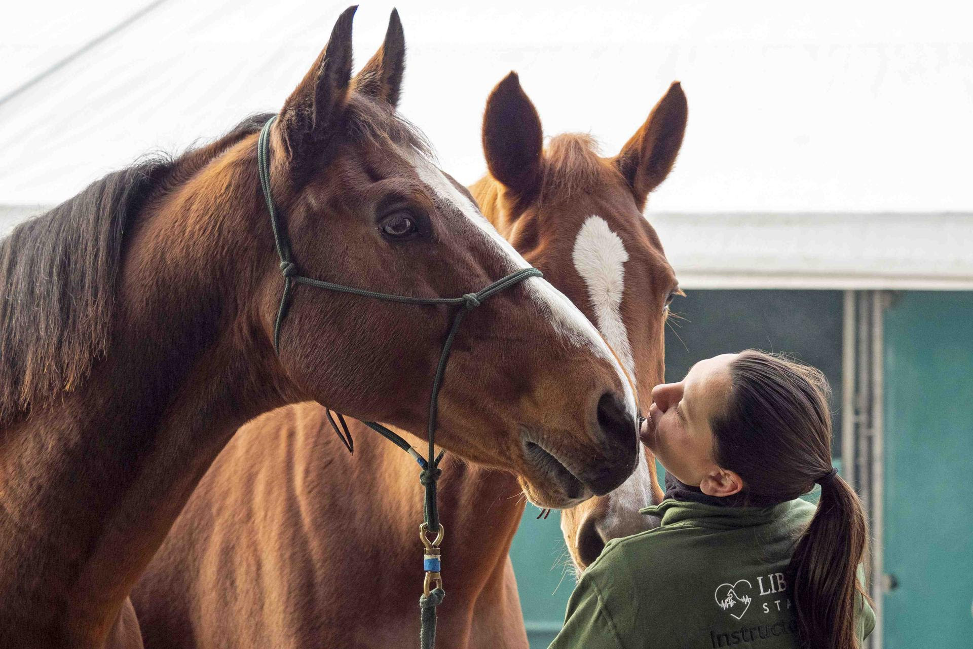 Fieracavalli 2025, al via oggi con 2,200 cavalli, 700 aziende e 200 eventi.