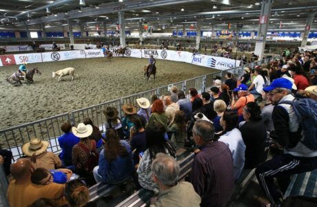 All Futurities Cremona 2025: dove il western diventa glamour