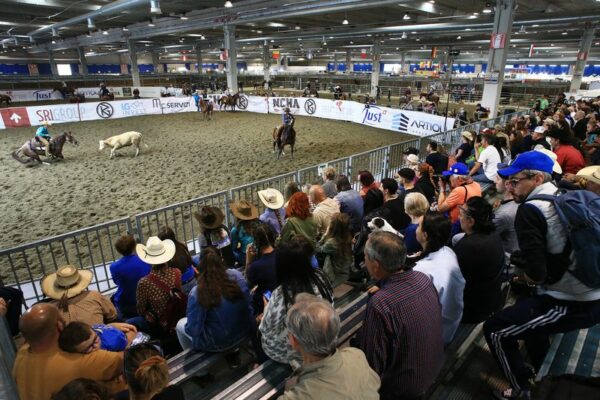 All Futurities Cremona 2025: dove il western diventa glamour