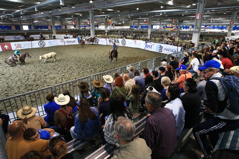 All Futurities Cremona 2025: dove il western diventa glamour