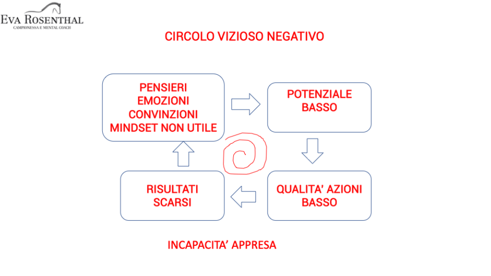 Il circolo del successo: mental coaching per vincere negli sport equestri 2 immagine 1