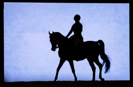 Fieracavalli, Italia e Marocco, 200 anni di amicizia in sella.