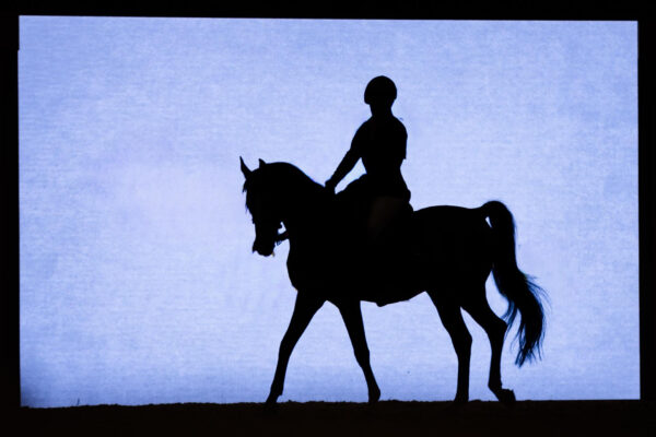 Fieracavalli, Italia e Marocco, 200 anni di amicizia in sella.