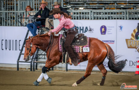 Il Futurity Europeo torna a Cremona con un record di partecipazione