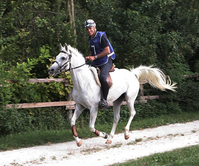 Allevare è un'arte, l'Allevamento dei Laghi al fianco di Sportendurance.