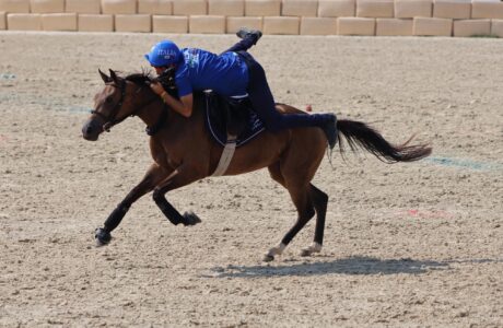 3e955e24 c4c7 4603 8ce2 85e6ab47f483