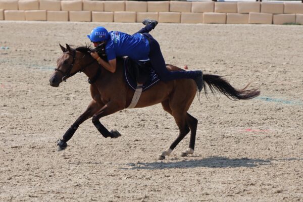 3e955e24 c4c7 4603 8ce2 85e6ab47f483