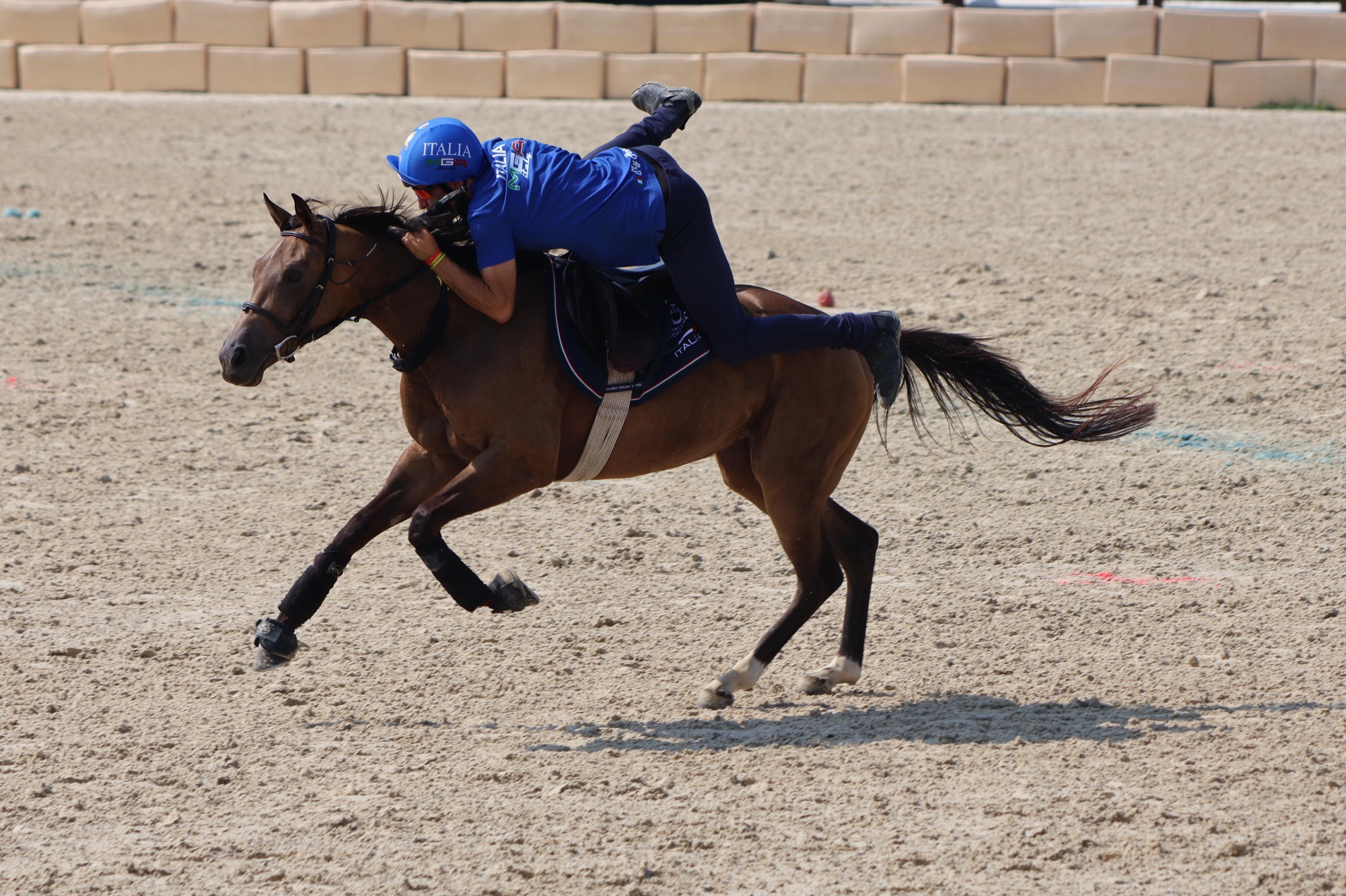 3e955e24 c4c7 4603 8ce2 85e6ab47f483