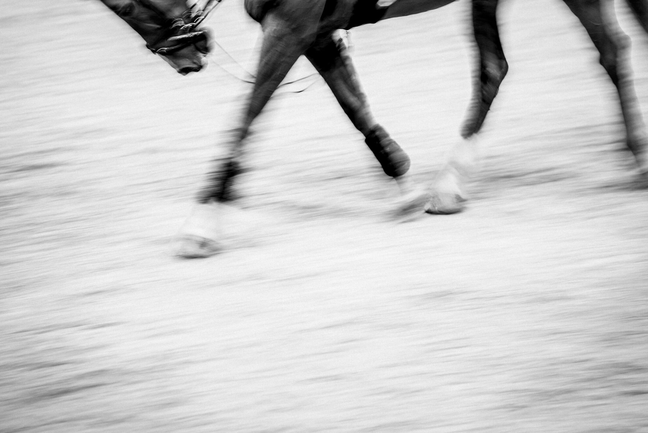 7bca059f efc6 4d43 9480 6e9c72c567d6