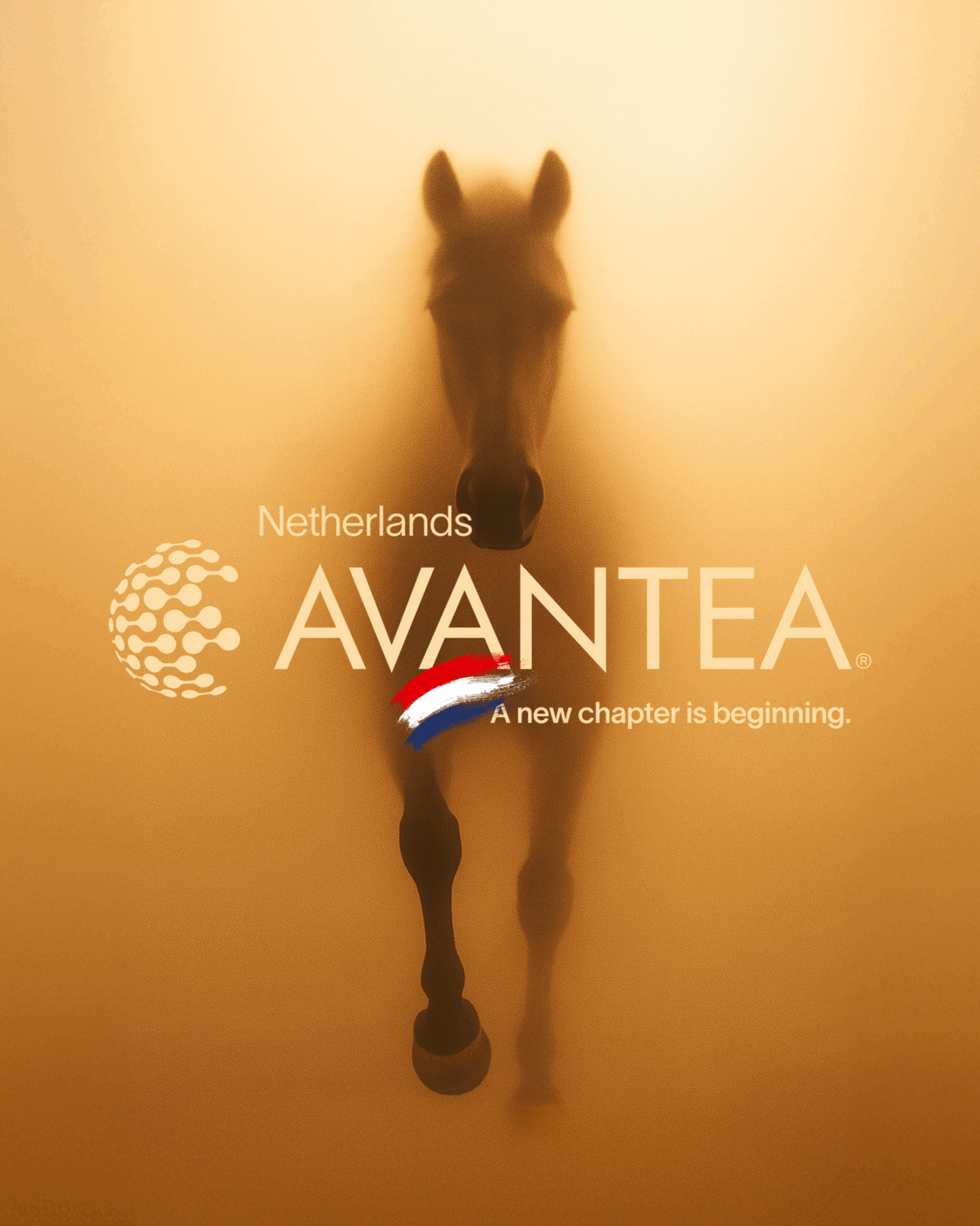 AVANTEA NETHERLANDS TEASER POST