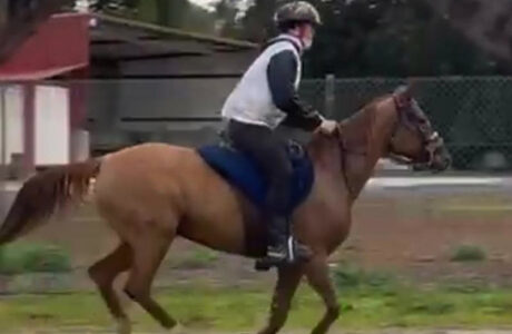 Sines: Parabens, così direbbero i portoghesi sgli italiani.