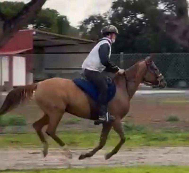 Sines: Parabens, così direbbero i portoghesi sgli italiani.