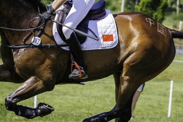 FEI Eventing Olympic Qualifier - Group F Millstreet (IRL) CHN-Alex Hua Tian rides Chicko during the Cross Country for the CCIO3-L Paris 2024