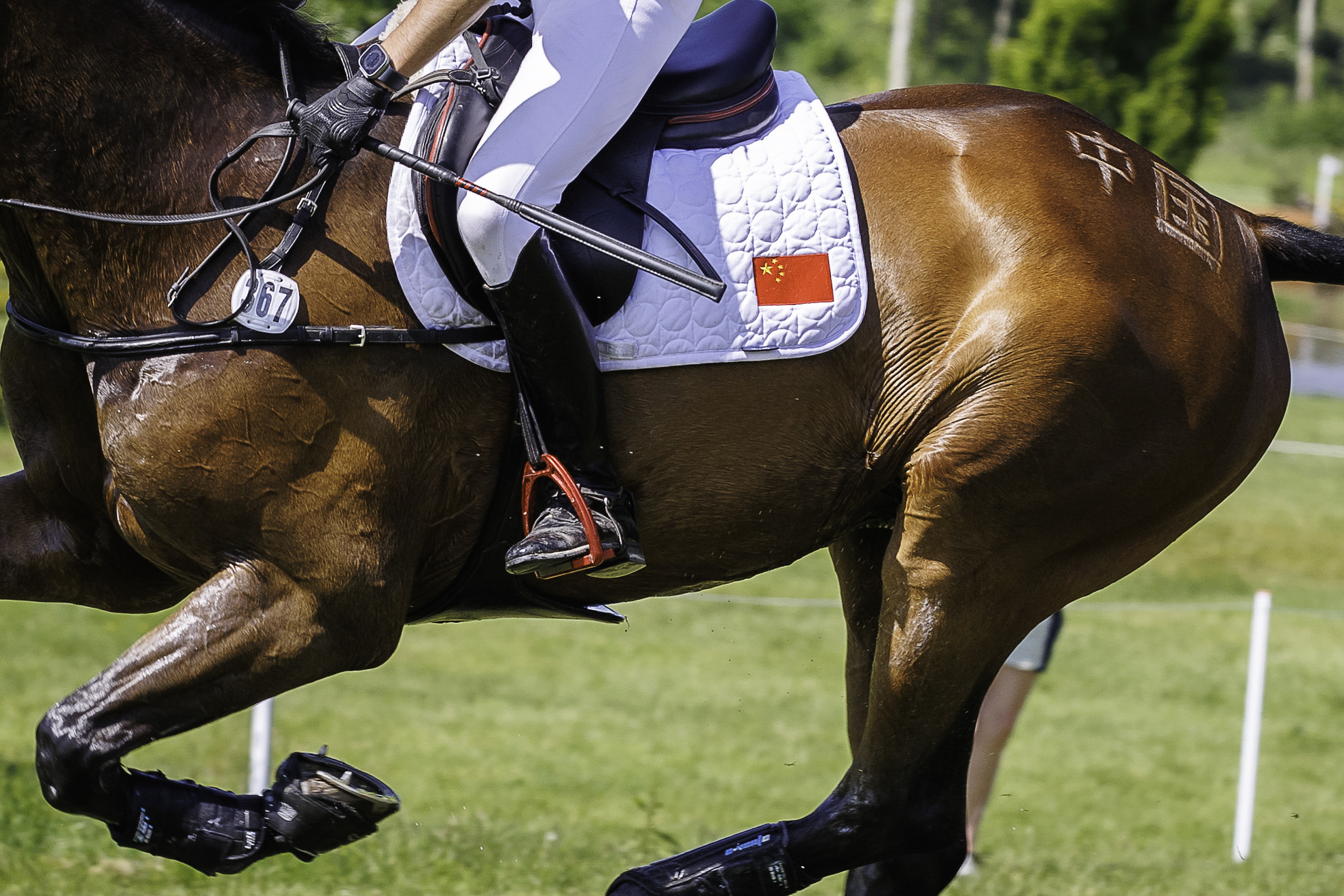 FEI Eventing Olympic Qualifier - Group F Millstreet (IRL) CHN-Alex Hua Tian rides Chicko during the Cross Country for the CCIO3-L Paris 2024
