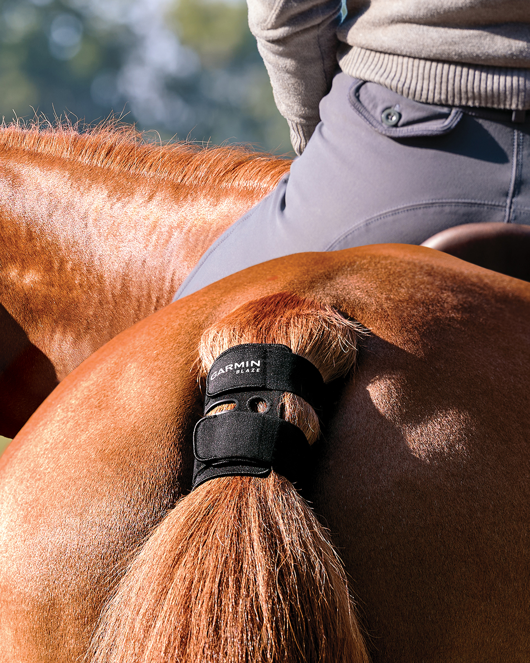 Garmin entra nel mondo equestre con Blaze 1