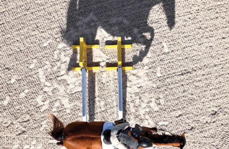 Garmin entra nel mondo equestre con Blaze