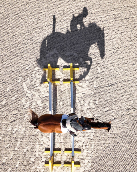 Garmin entra nel mondo equestre con Blaze