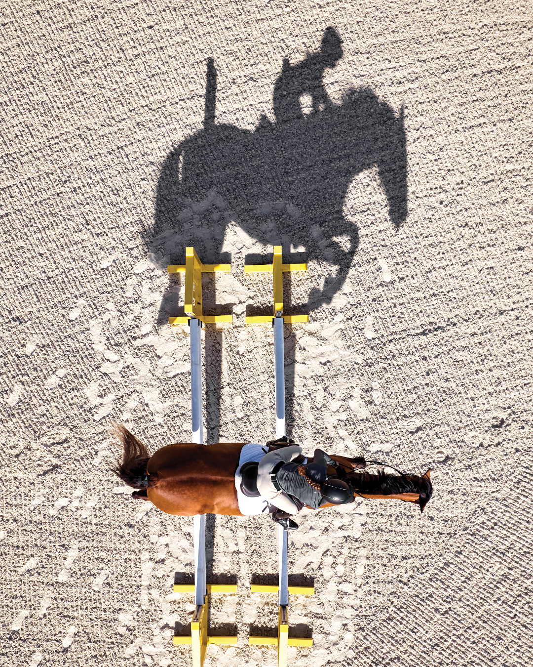 Garmin entra nel mondo equestre con Blaze