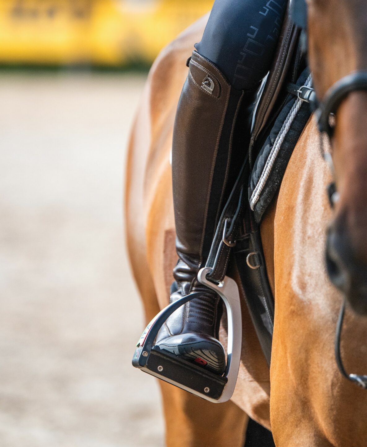 Tattini brevetta lo stivale Segugio: quando l’innovazione nasce dal campo gara 2 Grossato Segugio marroni4