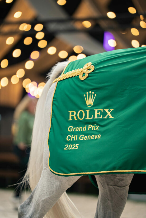 Dear Santa, Take Me to CHI Geneva 7 IMG 0006 1