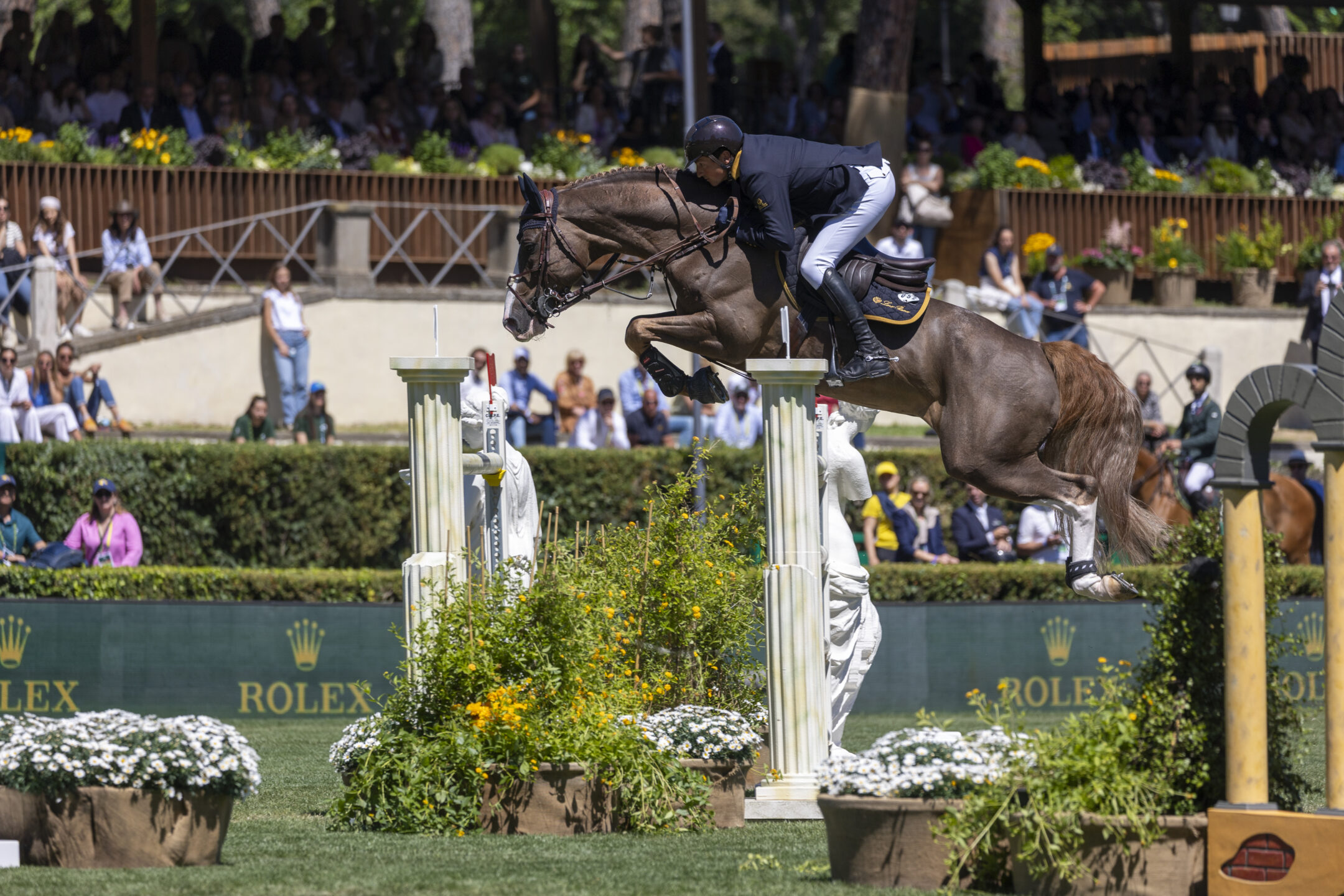 Lorenzo de LucaITA Jappeloup Roma 20250525 SS353908