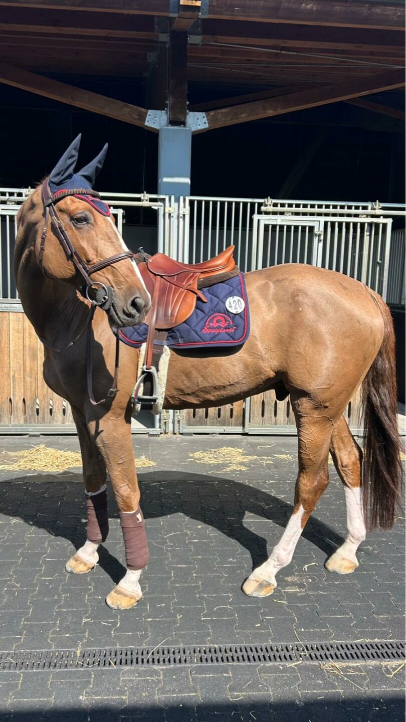 Martina Ferrari x Equiplanet 1