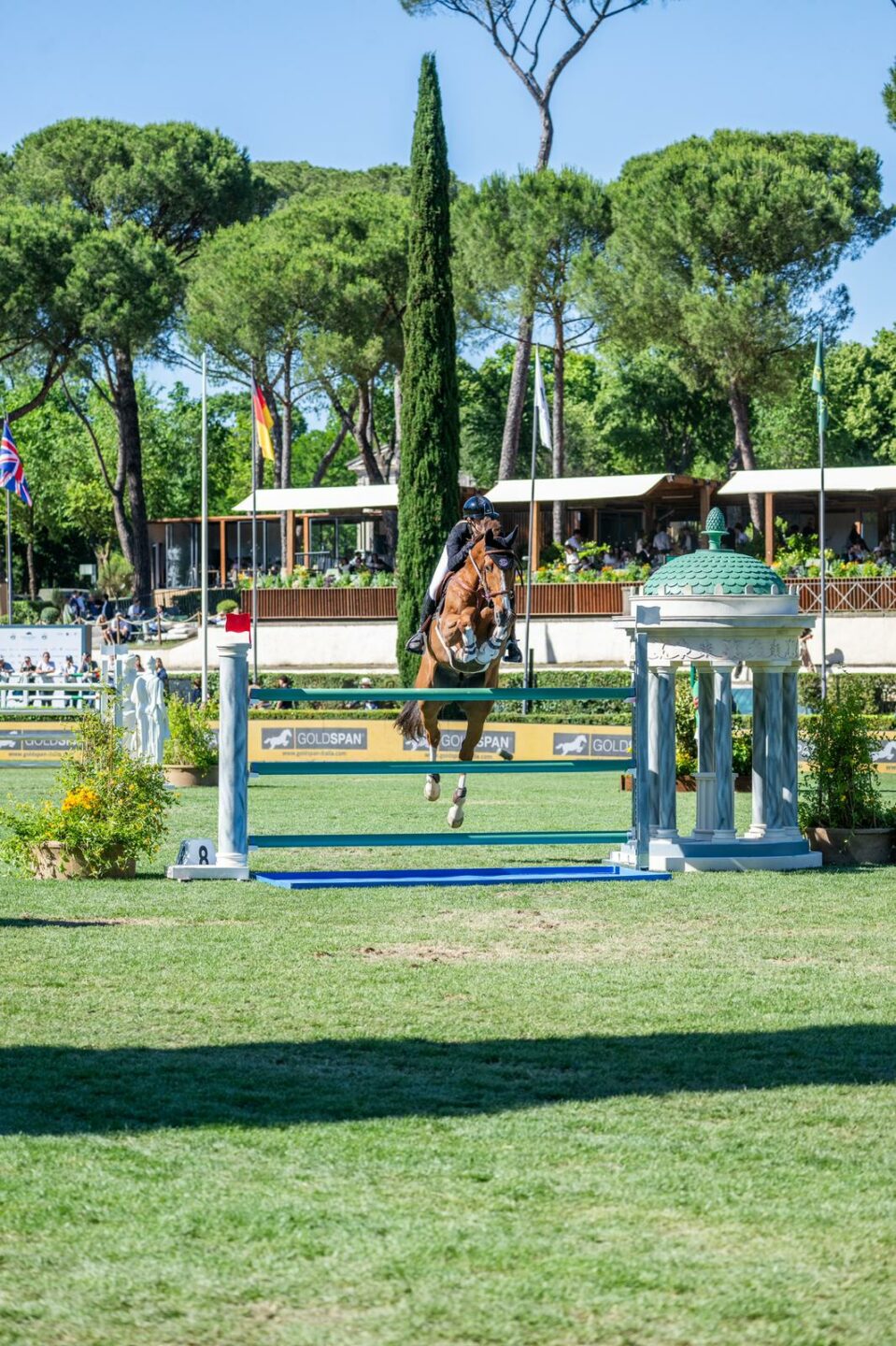 Martina Ferrari x Equiplanet 3