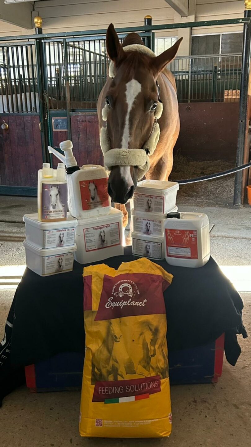 Martina Ferrari x Equiplanet 7